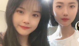 黄老师闺蜜爆料视频大全,揭秘不为人知的幕后故事