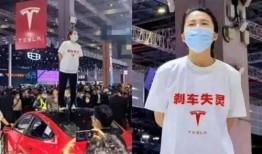 网友爆料特斯拉事件视频,网友爆料视频曝光