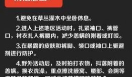 小虫网新闻爆料,揭秘行业最新动态