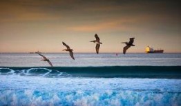 同船爱歌在线观看土豆,重温经典，共赴青春旋律之旅