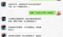卓伟爆料相关视频大全,揭秘娱乐圈幕后真相