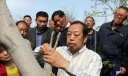农民大哥爆料新闻视频,揭秘田间地头最新爆料视频