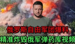 俄国最新爆料视频下载,深度解析事件背后真相
