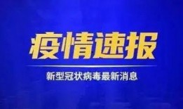 雷州爆料新闻事件最新报道,最新进展及影响深度解析