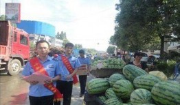 成县吃瓜网红事件,网络舆论的风暴与反思
