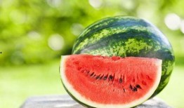 甘肃网红吃瓜事件,揭秘网络舆论的风暴与真相