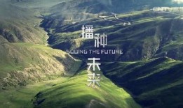 青山湖爆料冲突事件视频,视频揭露激烈对峙瞬间