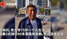 台湾大爷爆料新闻视频,最新爆料新闻视频背后的真相