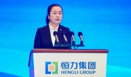 亨力集团最新爆料消息,揭秘企业转型背后的秘密与挑战