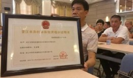 大同团队爆料最新消息,最新动态揭秘，不容错过的重大信息