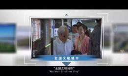 都市名片电视剧在线观看