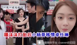 网红事件最新爆料,最新爆料揭露惊人内幕