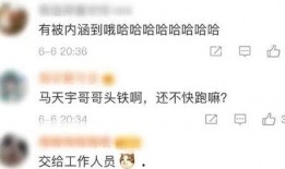 圈内爆料杨紫事件,圈内爆料揭示娱乐圈真相