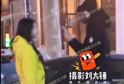 刘大锤爆料王兰之子视频,王兰之子神秘视频引发热议
