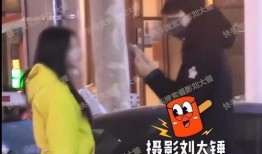 刘大锤爆料王兰之子视频,王兰之子神秘视频引发热议