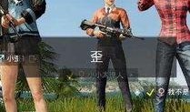 和平精英爆料王小歪视频,揭秘游戏新玩法与精彩瞬间