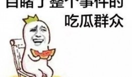 娱乐吃瓜呆头鹅,呆头鹅的趣味生活揭秘