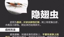 小虫网新闻爆料,揭秘行业最新动态